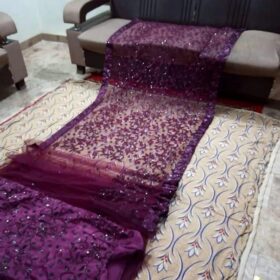 Beautiful saaree for women